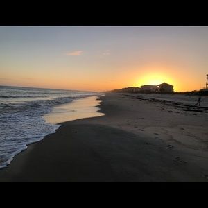 Meet your Posher, Allie